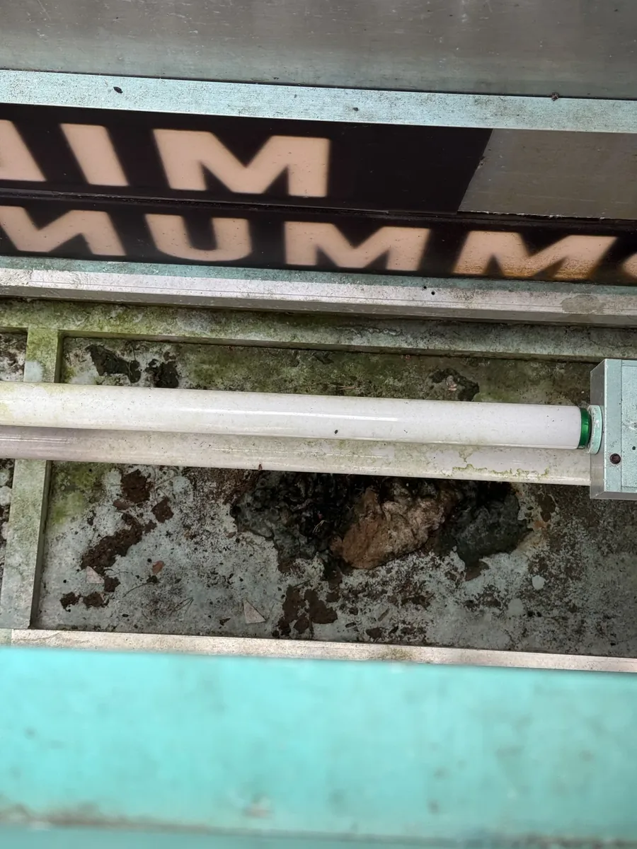 Inside an opened sign cabinet during a repair: an old fluorescent tube over a grimy, debris-strewn cabinet floor, the sign's lettering seen backwards through the face